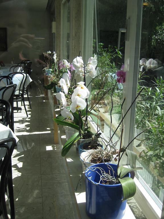 冬穆酒店 林茨 外观 照片